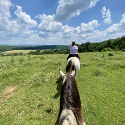 Circle R Ranch - Gorgeous day!