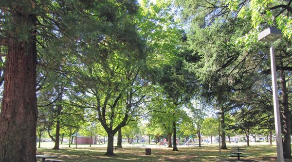 Glenwood Park by null