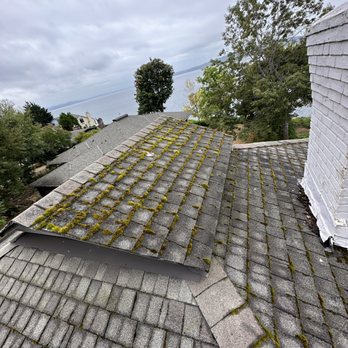 H&T Windows and Gutters - moss removal - before - Window Washing Near Me H&T Windows and Gutters - moss removal - before - Window Washing Near Me