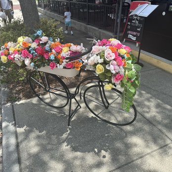 240 Rose Cafe - Picture Op in front of the restaurant - Breakfast & Brunch Near Me - Winter Park, Florida