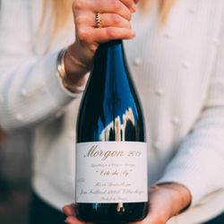 le cambodge - Great red wine, Morgon Côte du Py!