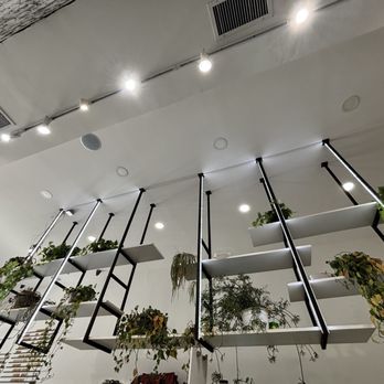 Semicolon Cafe - Coffee & Tea Near Me - New York, New York Semicolon Cafe - Coffee & Tea Near Me - New York, New York