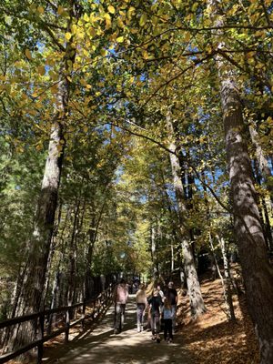 Walden Pond State Reservation by null