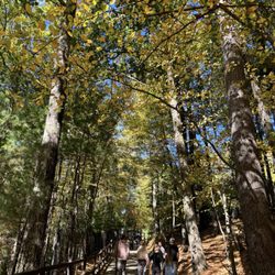Walden Pond State Reservation