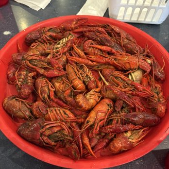 Harbor Seafood & Oyster Bar - 2 lbs crawfish - Seafood Near Me - Kenner, Louisiana