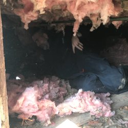 The More You Know Inspections - Some crawlspaces are no fun.