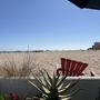 Photo of Dave's Patio and Beachside Bar