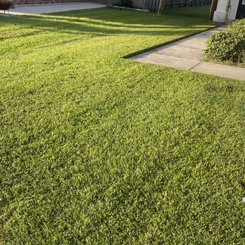 Hebert's Lawn Care & Services - a freshly mowed lawn - Lawn Services Near Me - Geismar, Louisiana Hebert's Lawn Care & Services - a freshly mowed lawn - Lawn Services Near Me - Geismar, Louisiana