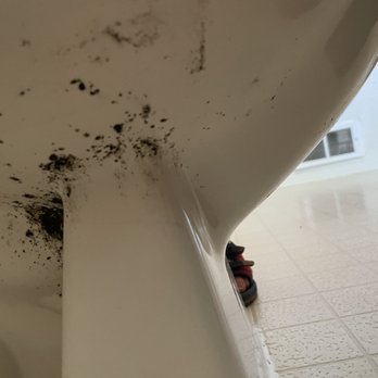 Jennings Group - Mold under toilet(easily visible during a simple spot cleaning!) - Property Management Near Me - Eugene, Oregon