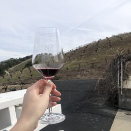 Nice setting along the vines Nice setting along the vines