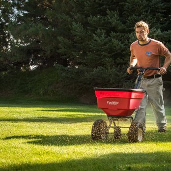 Organo Lawn - Organo-Lawn tech applying Synergy with Corn Gluten Meal on a lawn in Fort Collins. - Tree Services Near Me - Boulder, Colorado