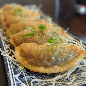 Modu Ramen - Pot Stickers were - Ramen Near Me - Jacksonville, Florida