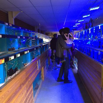 Maidenhead Aquatic Centre - Aquarium Services Near Me - St Albans, HRT