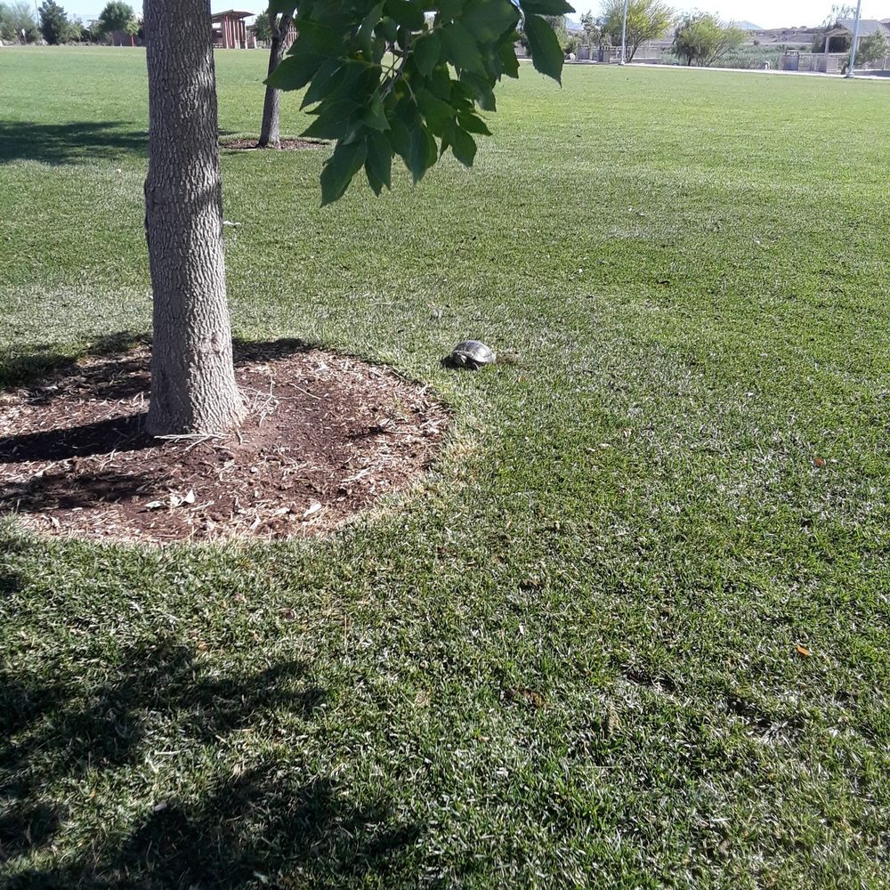Cornerstone Park - Lakes Near Me - Henderson, Nevada