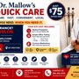 The Mallow Center