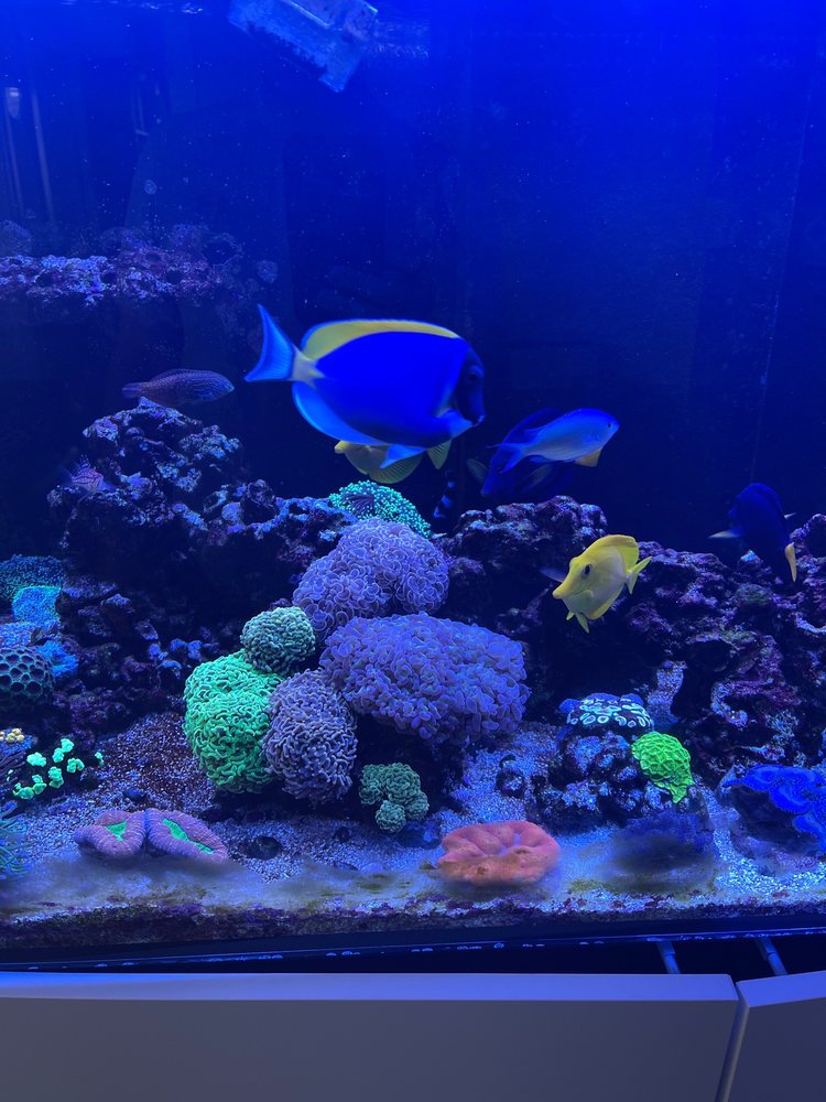 LIVE WATER AQUARIUMS Updated August 2024 33 Photos San Diego