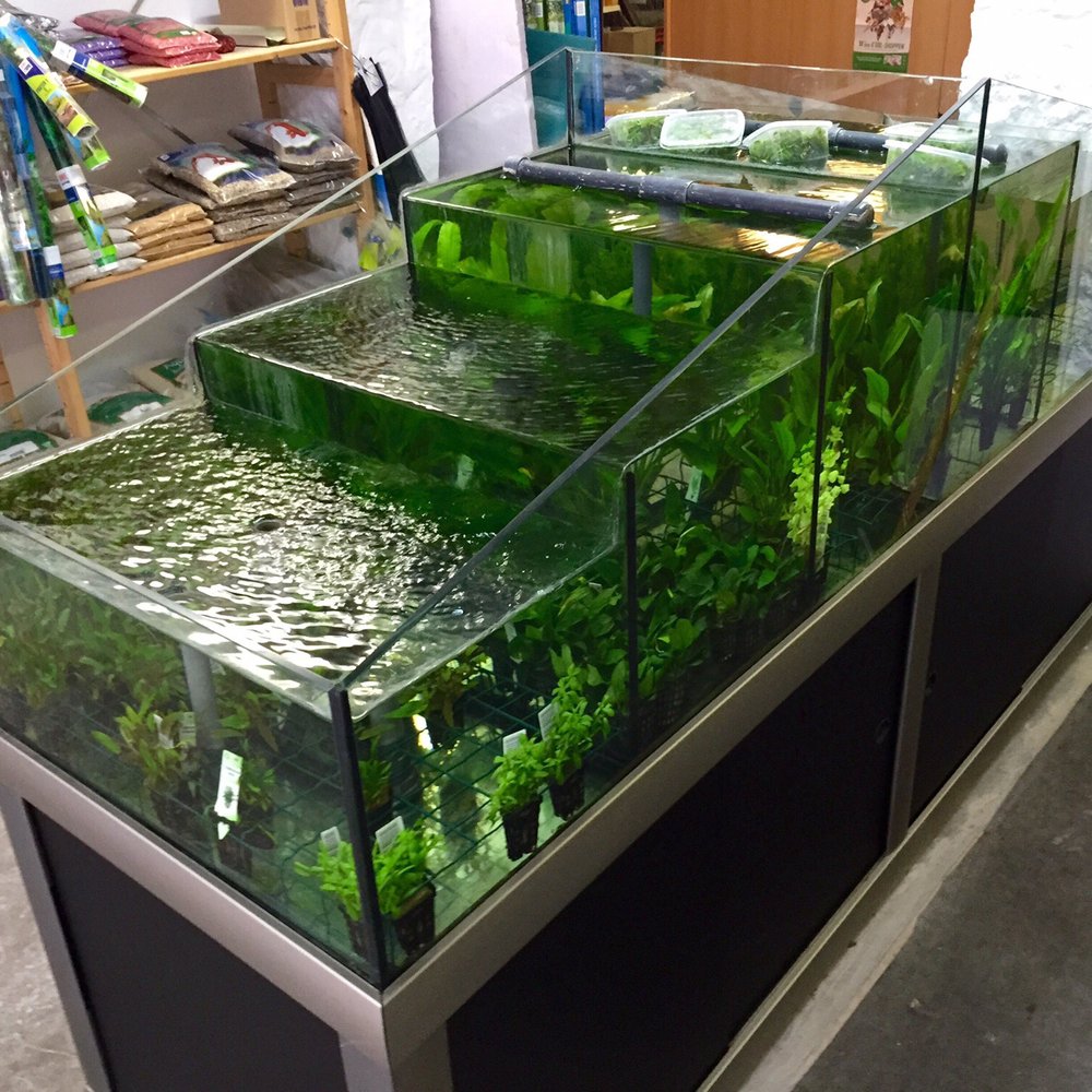 De Jongh - Plants!!! - Pet Stores Near Me - Amsterdam, New Hampshire