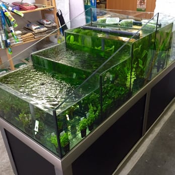 De Jongh - Plants!!! - Pet Stores Near Me - Amsterdam, New Hampshire