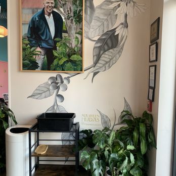 Stemma Craft Coffee - Coffee Roasteries Near Me - Orlando, Florida