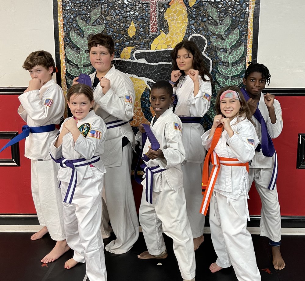 Dunamis Karate Logo