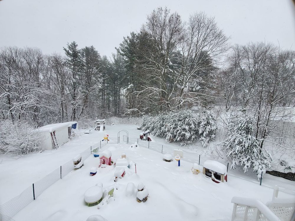 Wonderwhiz Academy - childcare center in Framingham, MA