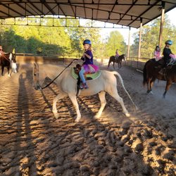 Sallys Horses