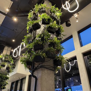 The Point - Beautiful decor! - Salad Near Me - Washington, DC, District of Columbia The Point - Beautiful decor! - Salad Near Me - Washington, DC, District of Columbia