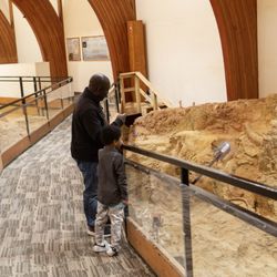 The Mammoth Site
