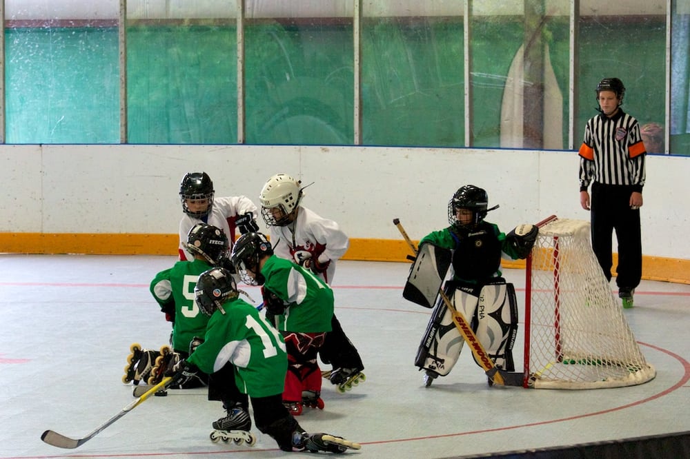 Peachtree City Hockey Association Logo