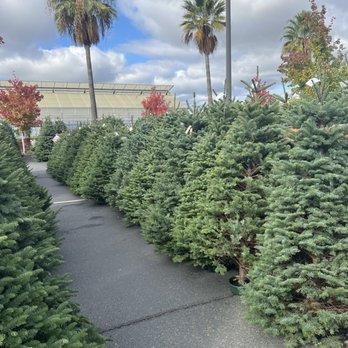 Green Acres Nursery & Supply - Nurseries & Gardening Near Me - Folsom, California Green Acres Nursery & Supply - Nurseries & Gardening Near Me - Folsom, California