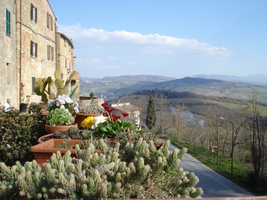 Pienza by null