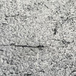CanArk Paving