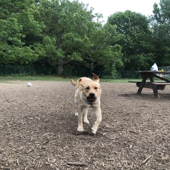 Hartman Rd Dog Park - Dog Parks Near Me - Albany, New York