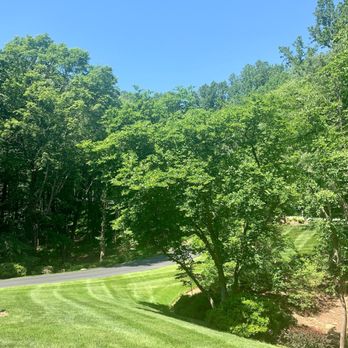 Prolawn - a view of a winding road through the woods - Gardeners Near Me - Winchester, Virginia Prolawn - a view of a winding road through the woods - Gardeners Near Me - Winchester, Virginia