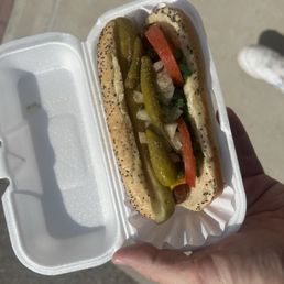 Chicago Dog