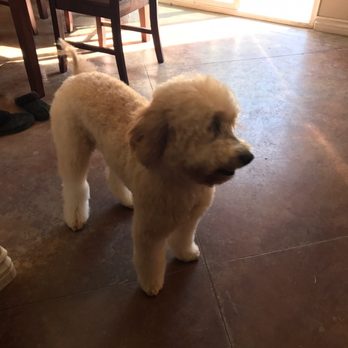 PetSmart - Pet Stores Near Me - Oxnard, California PetSmart - Pet Stores Near Me - Oxnard, California