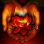 Photo of Conscious Contact Healing Arts