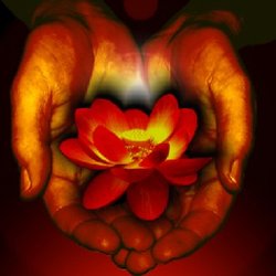 Conscious Contact Healing Arts - Come as you are...