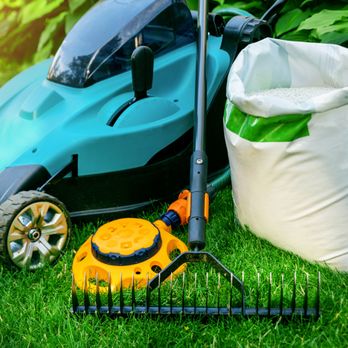 Norris Lawn Care & Landscaping - a lawn mower and a bag of grass - Lawn Services Near Me Norris Lawn Care & Landscaping - a lawn mower and a bag of grass - Lawn Services Near Me