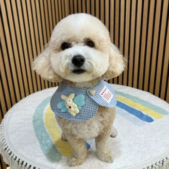 Pawtastic - Pet Groomers Near Me - Tustin, California Pawtastic - Pet Groomers Near Me - Tustin, California