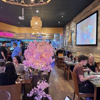 Tatsu Sushi - Japanese Near Me - Walnut Creek, California Tatsu Sushi - Japanese Near Me - Walnut Creek, California