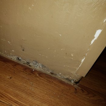 Econo Lodge - Wall is falling apart! - Hotels Near Me - Tracy, California Econo Lodge - Wall is falling apart! - Hotels Near Me - Tracy, California