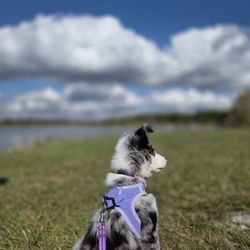 Stony Creek Metropark