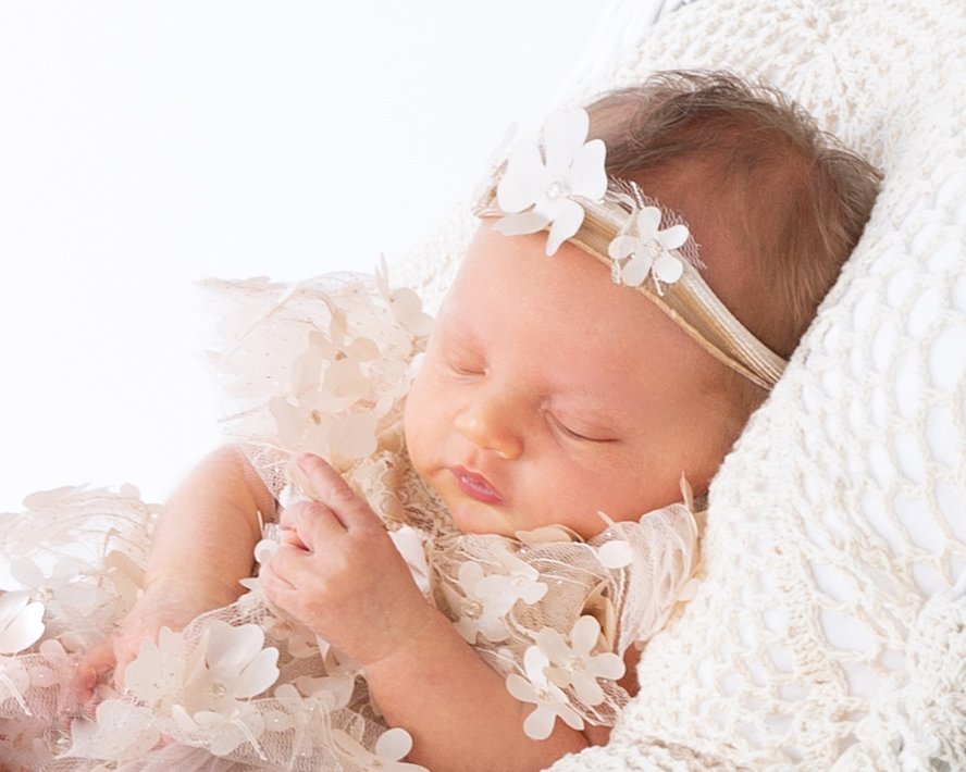 PEGGY ROGERSON PHOTOGRAPHY Request a Quote 15 Photos 4500 Bear