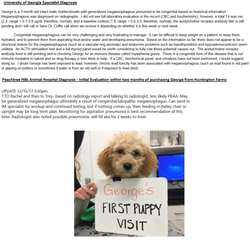 Hunnington Farms - Huntington Farms sold us a puppy that was immediately diagnosed with congenital megaesophagus & refused partial refund to help pay vet bills