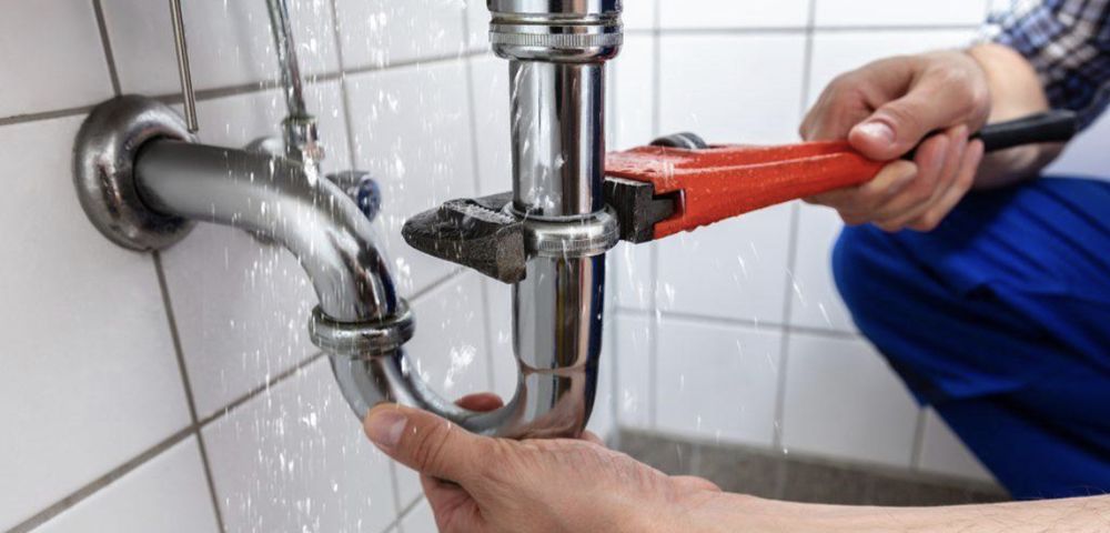 Slide of Fred L Webster