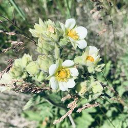 Blue Mounds State Park
