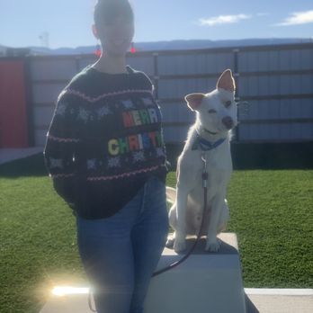 Sit Means Sit - Pet Training Near Me - Casper, Wyoming Sit Means Sit - Pet Training Near Me - Casper, Wyoming