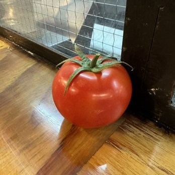 Miznon - Mediterranean Near Me - New York, New York