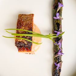 Chef Josh - Steelhead, asparagus, crab cream, botanicals.